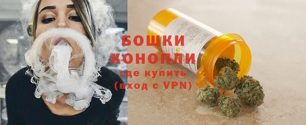 дживик Инсар