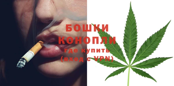 амф Инта