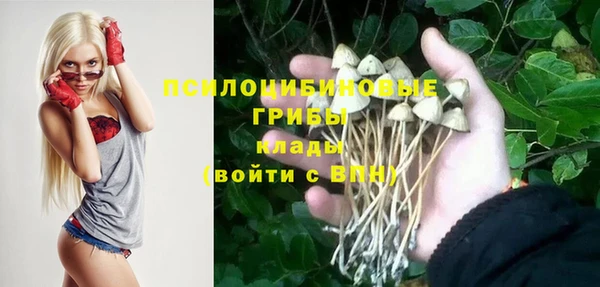 дживик Инсар