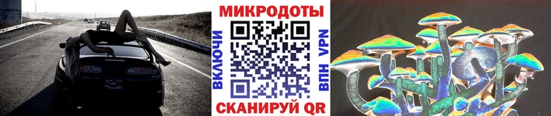 KRAKEN tor  Пушкино  Галлюциногенные грибы GOLDEN TEACHER 