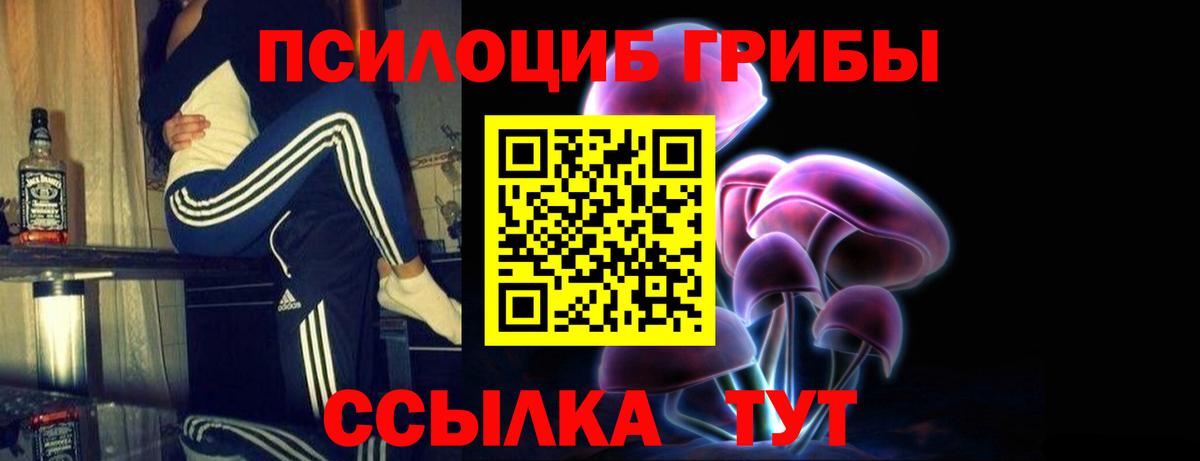 Псилоцибиновые грибы MAGIC MUSHROOMS  Вход с VPN  Пушкино 