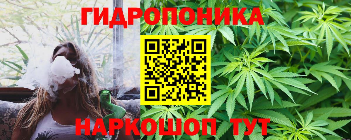 Марихуана конопля Пушкино